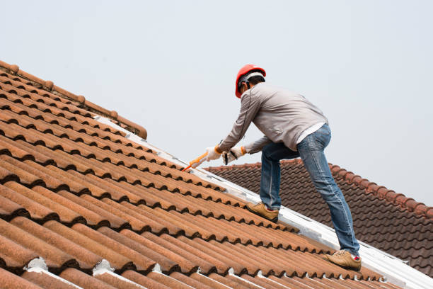 Best Rubber Roofing (EPDM, TPO)  in South Sarasota, FL