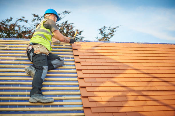 Best Green or Eco-Friendly Roofing Solutions  in South Sarasota, FL